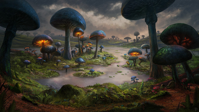 Forest mushrooms pond fantasy matte free wallpaper for desktop - medium preview image