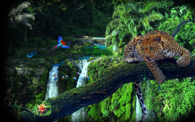 Leopard tree branch jungle waterfall #2 free wallpaper for desktop - medium preview image