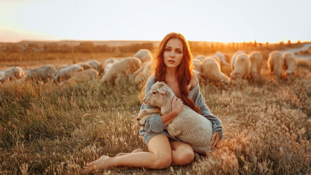 Woman sitting field sunset animals free wallpaper for desktop - medium preview image
