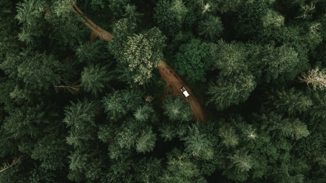 Car parked forest top down free wallpaper for desktop - medium preview image