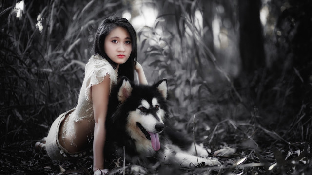 Woman husky forest dress nature free wallpaper for desktop - medium preview image