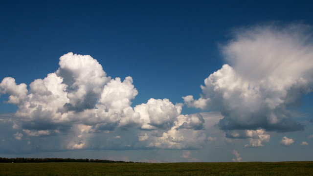 Large cloud sky field trees free wallpaper for desktop - medium preview image