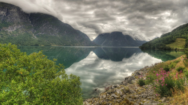 Lake mountains trees clouds flowers free wallpaper for desktop - medium preview image