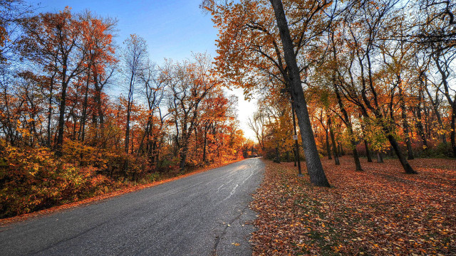 Autumn road fall foliage trees #2 free wallpaper for desktop - medium preview image