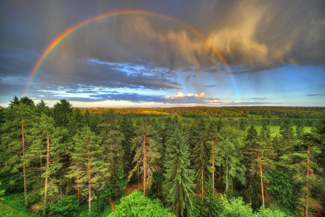 Rainbow over forest mountains lake free wallpaper for desktop - medium preview image