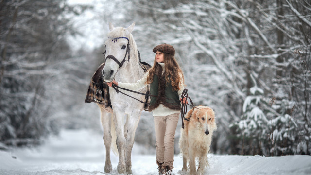 Woman dogs horse snow woods free wallpaper for desktop - medium preview image