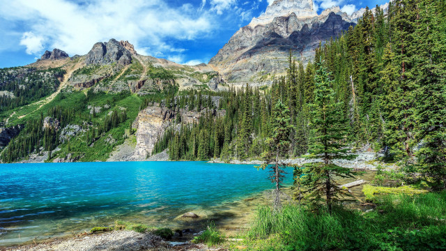 Mountain lake forest sky clouds #10 free wallpaper for desktop - medium preview image