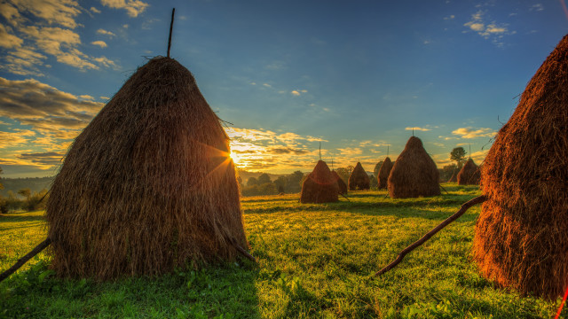 Hay bales sunset clouds trees free wallpaper for desktop - medium preview image