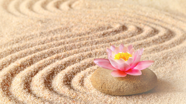 Pink flower rock sand garden free wallpaper for desktop - medium preview image
