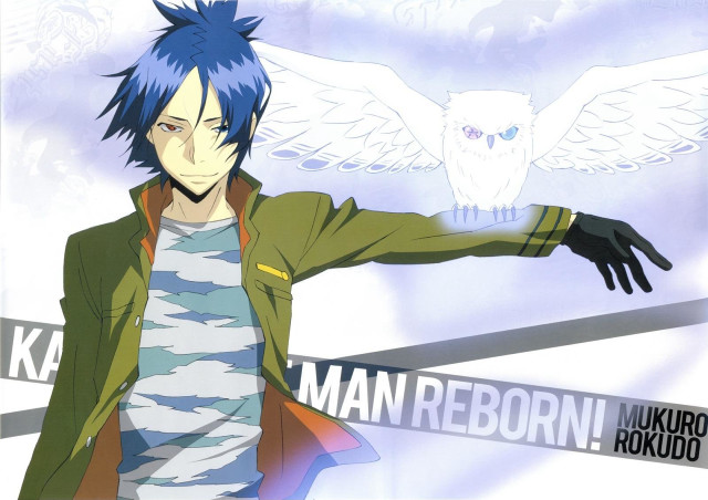 Blue hair man owl wings free wallpaper for desktop - medium preview image