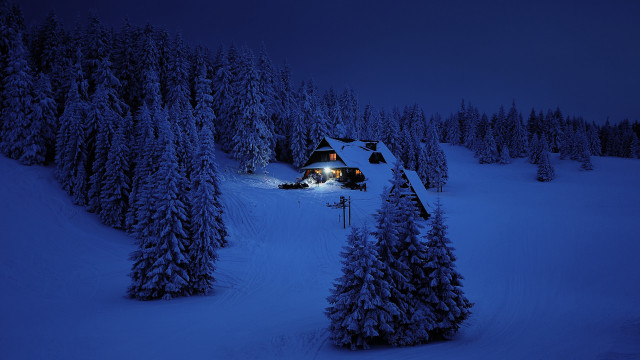 Snowy forest cabin fullmoon night free wallpaper for desktop - medium preview image