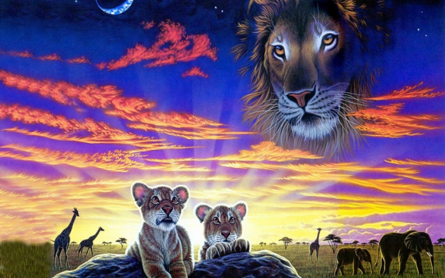 Lions giraffe sunset moon mountains free wallpaper for desktop - medium preview image