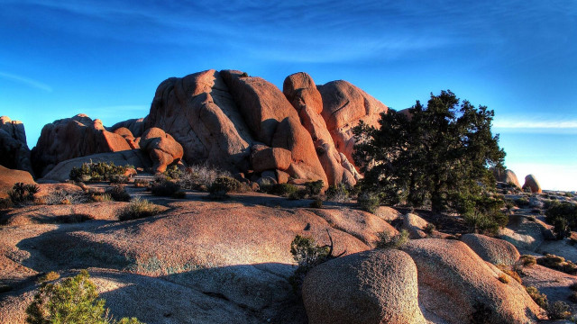Rocky landscape trees cliffs cloudy free wallpaper for desktop - medium preview image