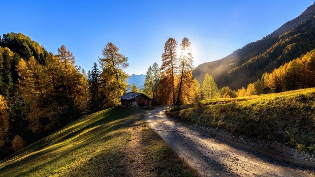 Dirt road house mountains trees free wallpaper for desktop - medium preview image
