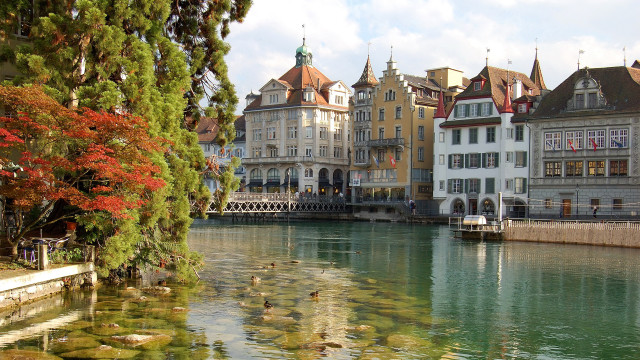 River ducks architecture cityscape flowers free wallpaper for desktop - medium preview image