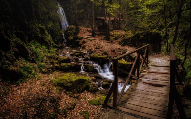 Wooden bridge waterfall forest mossy free wallpaper for desktop - medium preview image