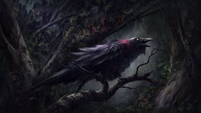 Bird forest light shining wings free wallpaper for desktop - medium preview image