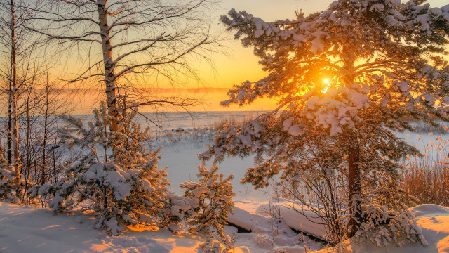 Snowy landscape trees sunset sunbeam free wallpaper for desktop - medium preview image