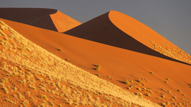 Desert sand dunes autumn campfire free wallpaper for desktop - medium preview image