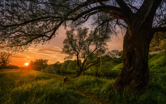 Sunset tree grass path mountain free wallpaper for desktop - medium preview image