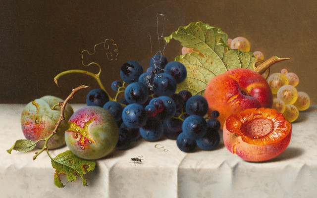 Fruit leaf flower bee bosschaert free wallpaper for desktop - medium preview image