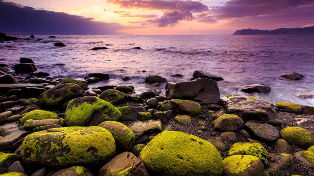Rocky beach mossy rocks sunset free wallpaper for desktop - medium preview image