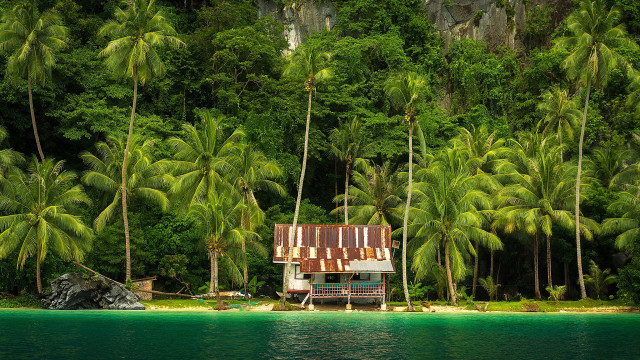 Tropical island house palm trees free wallpaper for desktop - medium preview image