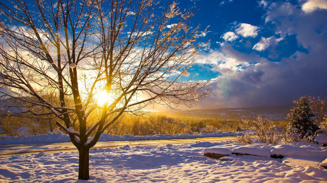 Snowy tree sunshine clouds road free wallpaper for desktop - medium preview image