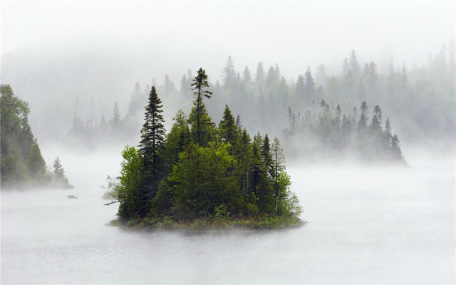 Small island lake foggy forest free wallpaper for desktop - medium preview image