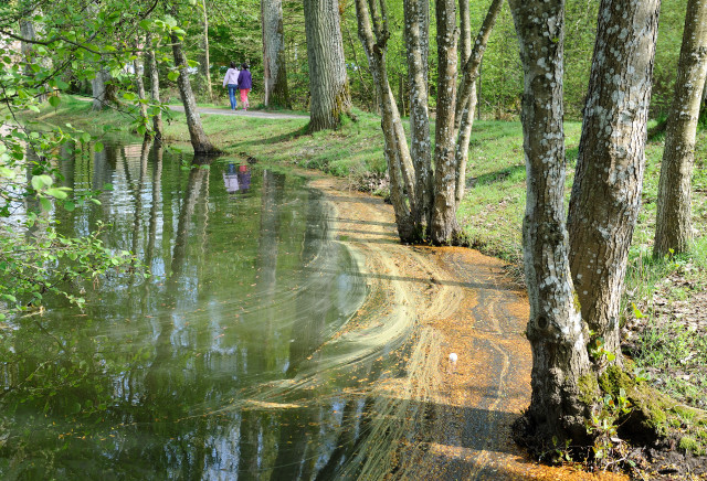 Dirt path river trees park free wallpaper for desktop - medium preview image