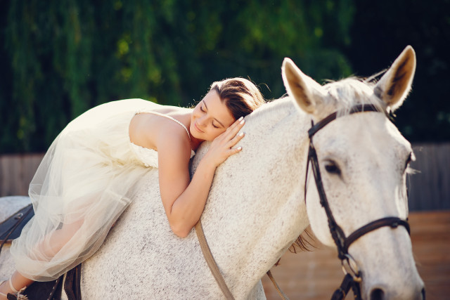 Romantic white dress horse hug free wallpaper for desktop - medium preview image