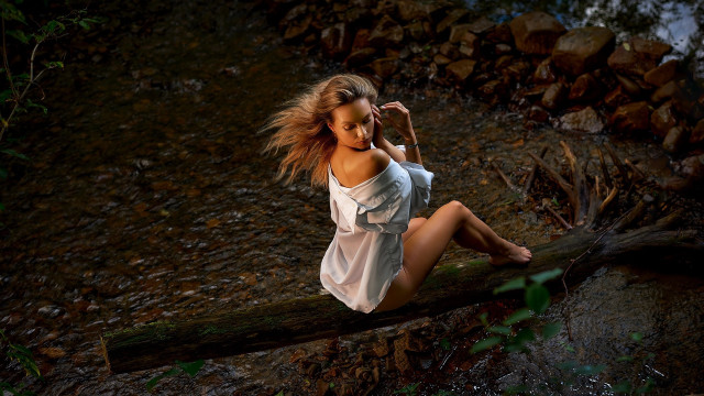 Woman forest blonde dress sitting free wallpaper for desktop - medium preview image