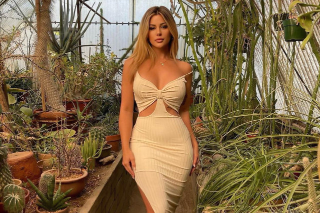 Greenhouse woman dress plants cacti free wallpaper for desktop - medium preview image