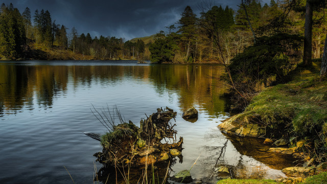 Lake forest reflection cloudy sky free wallpaper for desktop - medium preview image