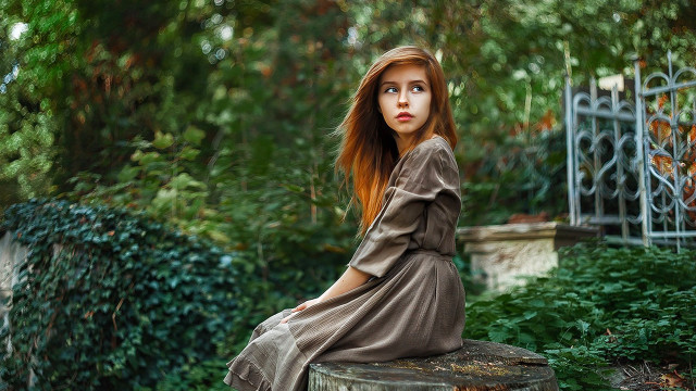 Woman tree stump park fence free wallpaper for desktop - medium preview image