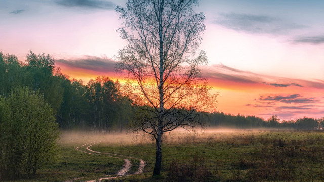 Sunset tree path lake mountains free wallpaper for desktop - medium preview image