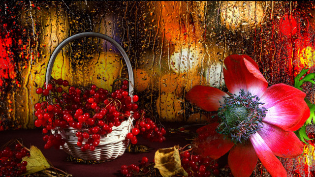 Basket berries flower autumn red free wallpaper for desktop - medium preview image