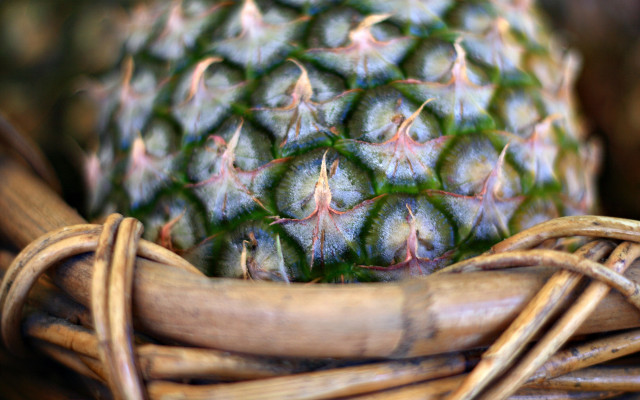 Pineapple basket wooden handle green free wallpaper for desktop - medium preview image