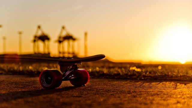 Skateboard sunset palm trees blurred free wallpaper for desktop - medium preview image