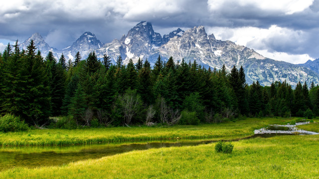 Mountain stream trees field lake free wallpaper for desktop - medium preview image