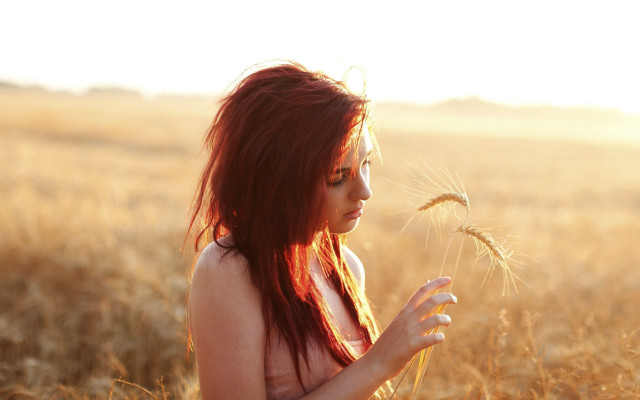 Woman dandelion beach sunset redhair free wallpaper for desktop - medium preview image