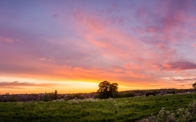 Sunset tree field clouds hills free wallpaper for desktop - medium preview image