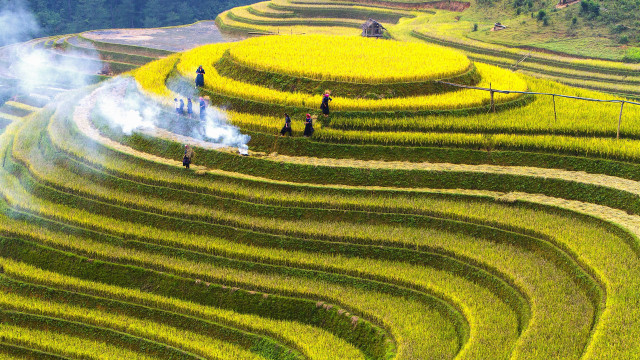 Green field hillside ecological art free wallpaper for desktop - medium preview image