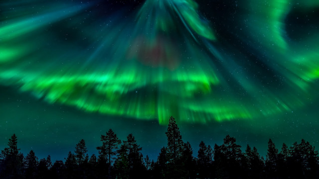 Aurora borealis night forest stars free wallpaper for desktop - medium preview image