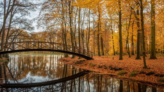 Autumn bridge pond park trees free wallpaper for desktop - medium preview image