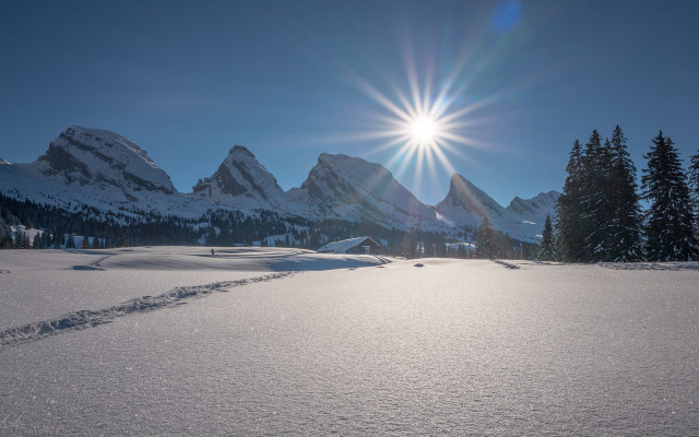 Sun snow mountain trees lake free wallpaper for desktop - medium preview image