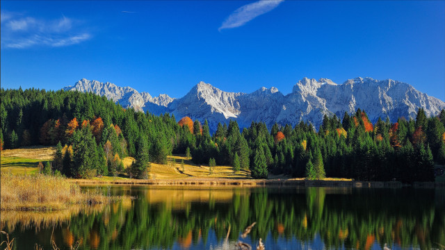 Lake mountains trees bird landscape free wallpaper for desktop - medium preview image