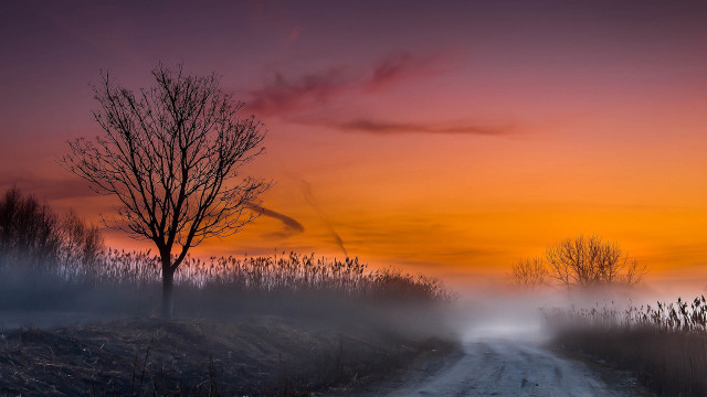 Foggy sunset road tree mountain free wallpaper for desktop - medium preview image