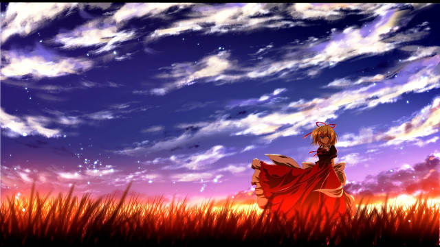 Girl red dress field clouds free wallpaper for desktop - medium preview image