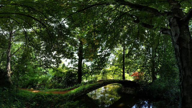 Bridge forest path bush sunlight free wallpaper for desktop - medium preview image